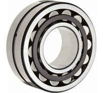 Подшипник INA SL183007-A-XL 505355790000