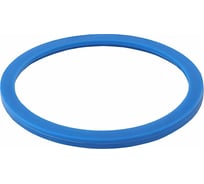 Уплотнение для молочных муфт TITAN LOCK DIN 11851 DN25 силикон, синий TL25SIL-D