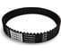 Ремень зубчатый STD 600 8M, длина 600 мм, ширина 20 мм, количество зубьев 75, шаг зубьев 8 мм CSHBELT 20STD8600CSH 1