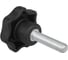 Звездообразная рукоятка KIPP K0155.40615X20 2