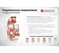 Подшипник DINROLL 2202-2RSTN 6000000006143