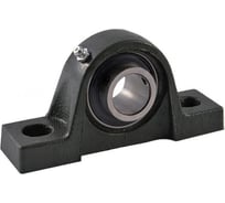 Нержавеющий корпус подшипника P205SS ISKRA P205SS-ISKRA