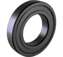 Высокотемпературный подшипник ISKRA 6000 BHTS ZZ C4 200