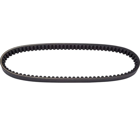 Приводной зубчатый ремень ТСС (13x800Li) для TSS-VP120TH (C150T-57)/L/V-Belt 036751