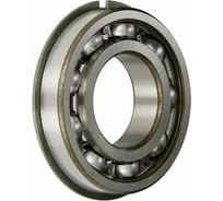 Подшипник DINROLL 6009/NR 6000000026875