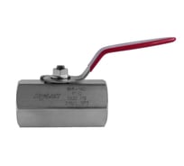 Шаровой кран Hy-Lok 110 серии из нержавеющей стали SS 316, BSPP 1" внутр. - BSPP 1" внутр BV-F-16G