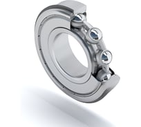 Подшипник SNR 6004NRZZ 3413520109219