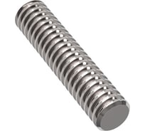 Трапециевидный винт TECHNIX d=24 мм, шаг резьбы 5 мм, L=250 см, TR24х5 G