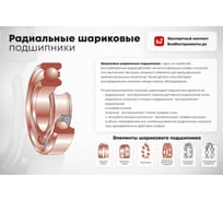 Подшипник DINROLL 1620-2RS 6000000014247