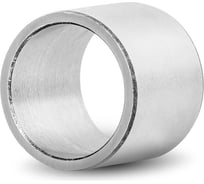 Кольцо DINROLL IR17x20x20,5 6000000024352