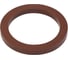 Уплотнение для камлоков TITAN LOCK материал Viton, 10 шт., 0.75 in TL75VI_10 1