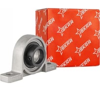 Подшипниковый узел ISKRA UP005ER