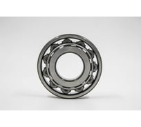 Подшипник DINROLL N205 2001001027001