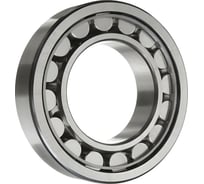 Подшипник DINROLL NU2204EW 2001000691807