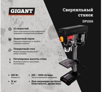 Сверлильный станок Gigant DP1016