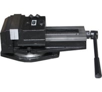 Стальные поворотные тиски ROCKFORCE с наковальней Profi 6.5-160 мм RF-32921160(17031)