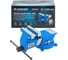 Тиски стальные поворотные с наковальней Forsage 4"-100мм F-6540804(18542) 1
