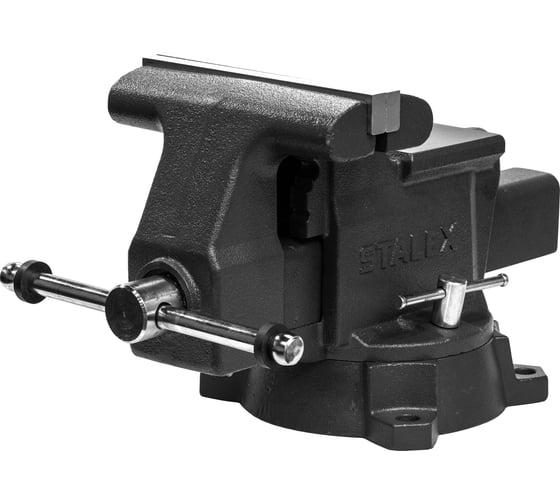 Слесарные тиски Stalex Кайман 203x190 мм, 210°, 25 кг D80