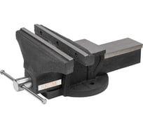 Тиски стальные с наковальней FORSTIME 10" (250мм) FT-6540210(60295)