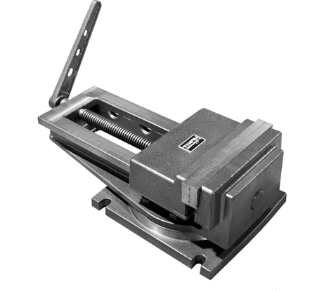 Станочные тиски Hortz чугунные, поворотные 250  104465