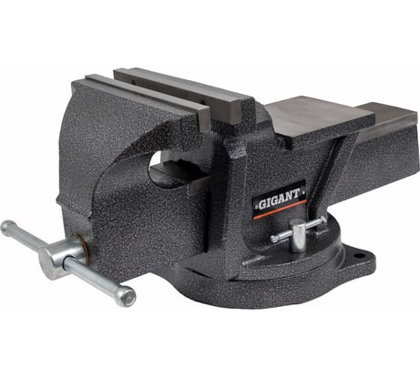 Поворотные слесарные тиски Gigant  G-BV-200