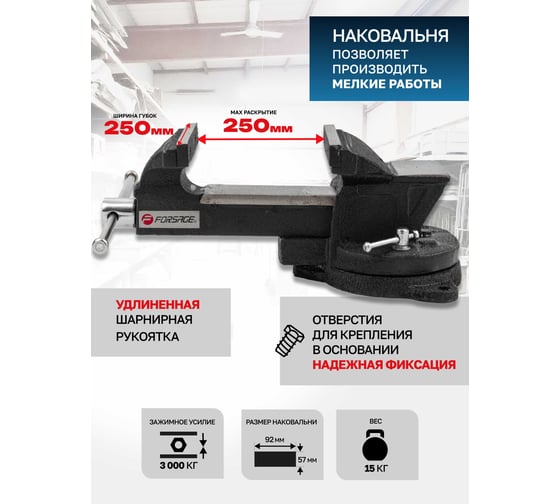 Тиски стальные поворотные с наковальней Forsage 10 (250мм) F-6540110(60511)