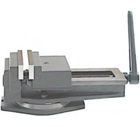 Станочные тиски CNIC 250мм чугунные поворотные с открытым винтом, ход 250мм LTB250 Q13 35119