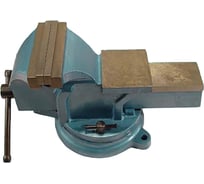 Слесарные тиски CNIC 250 мм 10дюйм поворотные с наковальней LT98010 упакованы по 1шт. 26133