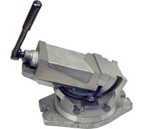 Станочные тиски CNIC глобусные 125мм поворотные, ход 100мм, шкала-град., закр.винт Q41QHK125 28555