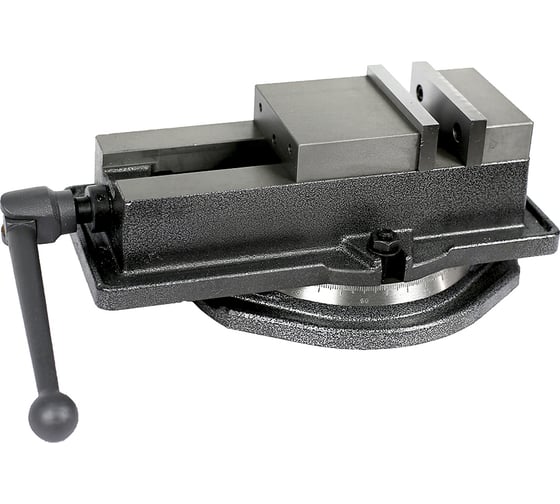 Фрезерные прецизионные поворотные тиски METALMASTER ТФПП100 18356