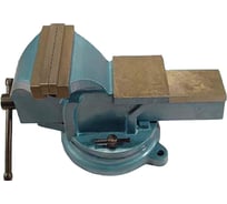 Слесарные тиски CNIC 200 мм 8" поворотные, с наковальней LT98008 26132