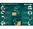 Шарнирно-поворотные тиски KRAFTOOL Precision 75 мм 32711-75 20