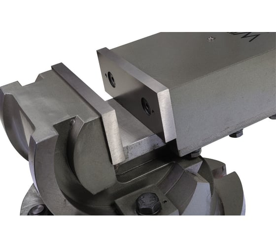 Двухосевые станочные тиски WILTON AMV/SP-125 WI11706EU 125х125