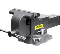 Слесарные тиски Stalex Гризли M80