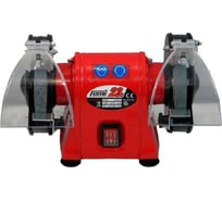 Профессиональное электрическое точило FEMI 23N 8.14.20.23