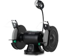 Точильный станок DWT DSP-350 L