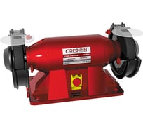 Точильный станок СОРОКИН 20.255