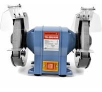 Точильный станок ЭЛЕКТРОПРИБОР ТЭ-200/450