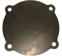 Диафрагма растворонасоса ООО АЛТЕХ СО-49С.01.00.007