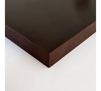 Фанера облицованная пленками ФОБ Плайтерра (1/1, FF, 120/120, 21 мм, 1220x2440 мм) 4670026591453