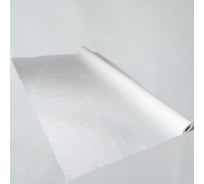 Противоконденсатная гидро-пароизоляция РуфИзол C (60 м.кв.) РИС-60_ВИ