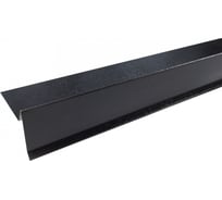 Торцевая планка Технониколь (пластизол; RAL 9005 черная; 1 шт) TN569204