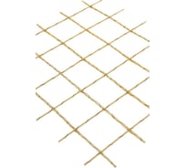 Армосетка Etiz ССК-2-50*50 1х2 м 052005010020