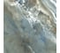 Керамогранит LCM Columbia jungle полированный, 600x600x8 мм, 4 шт. в упаковке 6060CLU31P 1
