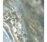 Керамогранит LCM Columbia jungle полированный, 600x600x8 мм, 4 шт. в упаковке 6060CLU31P 19