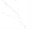 Керамогранит полированный LCM Атлантик Марбл / Atlantic Marble 600х600 (4 шт в уп/54.72 м в пал) 6060AMR00P 20