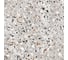 Керамогранит ProGRES evia terrazzo серые матовые уп. 1.44 м2, 4 шт. в уп NR0373 3