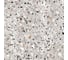 Керамогранит ProGRES evia terrazzo серые матовые уп. 1.44 м2, 4 шт. в уп NR0373 4