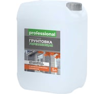 Укрепляющая грунтовка Professional PG102 для наружных и внутренних работ, с антисептиком, 5 л 28860