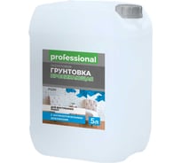 Грунтовка Professional PG101 для внутренних работ, с антисептиком, 5 л 28863